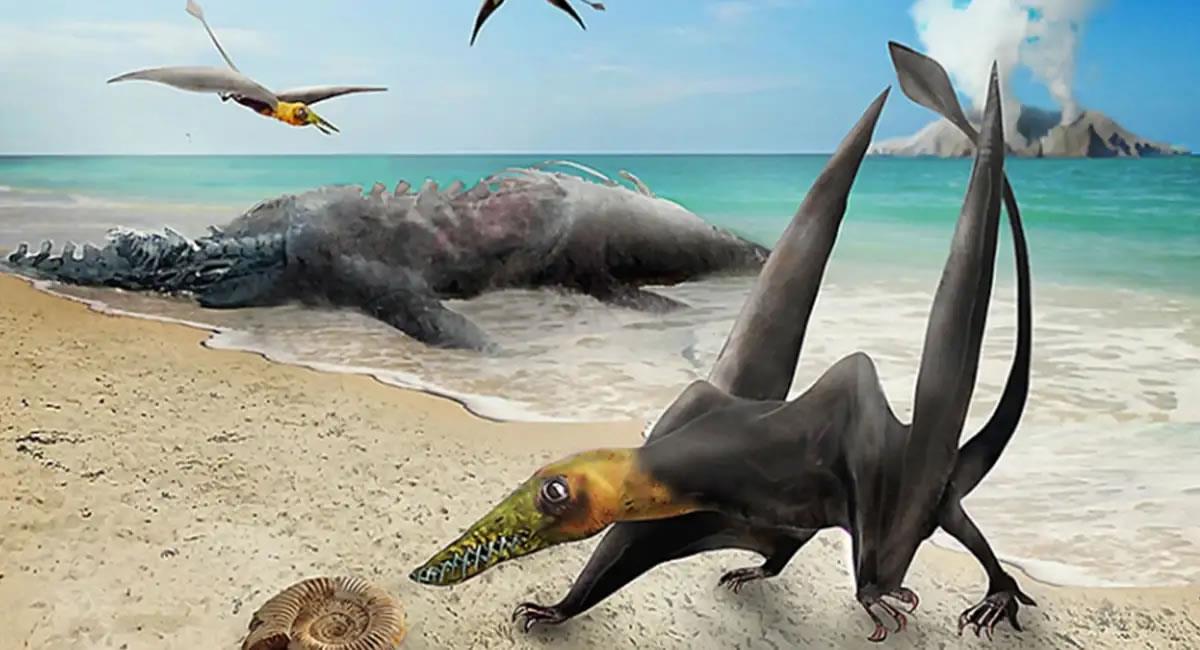 Un equipo de científicos chilenos identifica por primera vez restos fósiles de un pterosaurio en el desierto de Atacama. Foto: Twitter @UniversidaddeChile