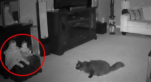 Captan a supuesto "fantasma" saliendo de una muñeca para atacar a un gato