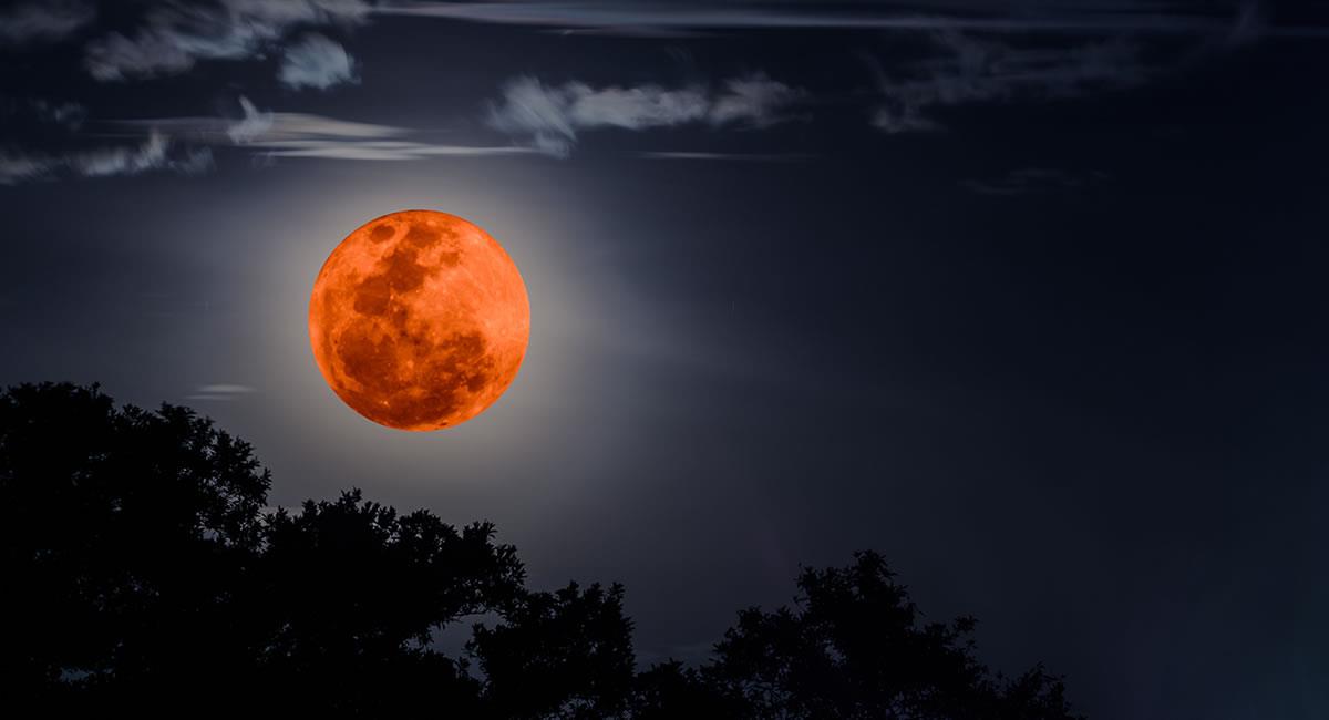 El eclipse lunar total es conocido como "luna de sangre" o "luna de flores" por su color carmesí. Foto: Shutterstock