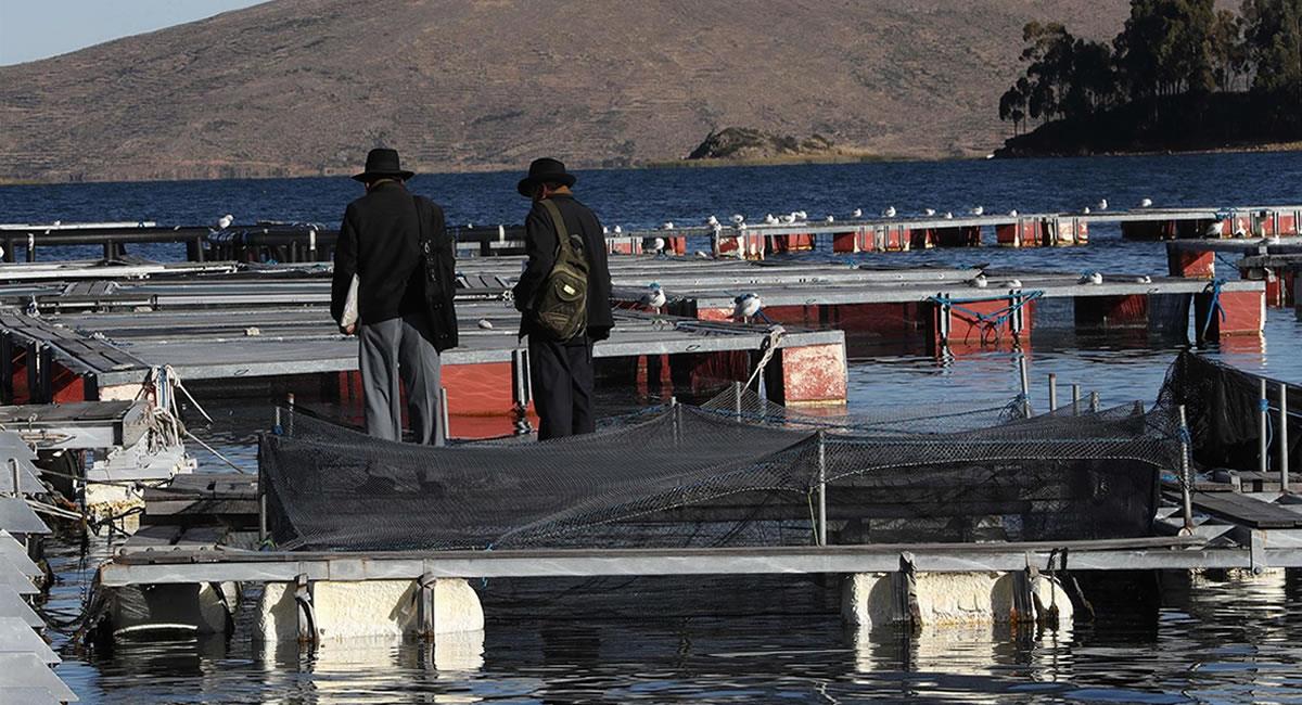 Criadero de peces del Centro Piscícola Tiquina-Bolivia, a orillas del lago Titicaca, en la localidad de San Pablo de Tiquina. Foto: EFE