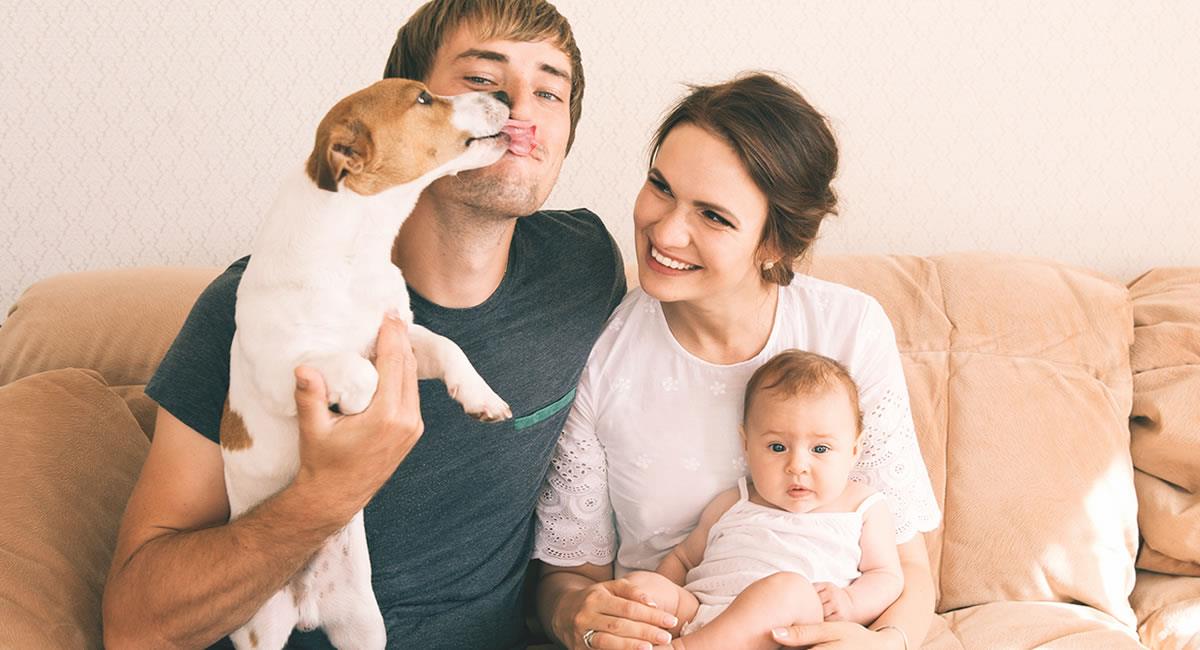 Mascotas y niños: ¿pueden convivir en casa sin problemas?. Foto: Shutterstock