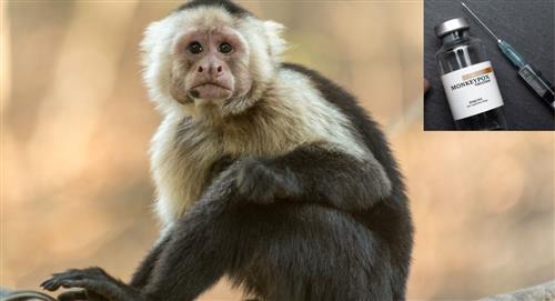 Viruela del mono: todo lo que debe saber sobre esta enfermedad