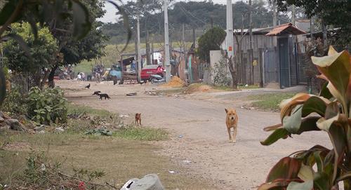 Bolivia será el país que más reducirá la pobreza extrema en Sudamérica en 2022