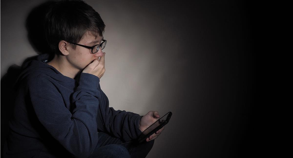 Protege a tus hijos del trolling cuando conocen gente online. Foto: Shutterstock