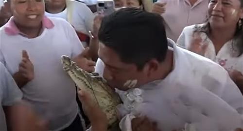 Un alcalde mexicano dio el sí en el altar a una lagarto vestido de novia
