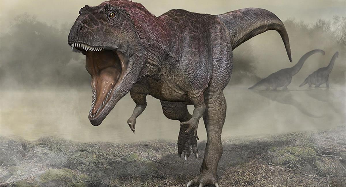 Meraxes gigas, una nueva especie de dinosaurio con brazos diminutos y unas cuatro toneladas de peso. Foto: EFE