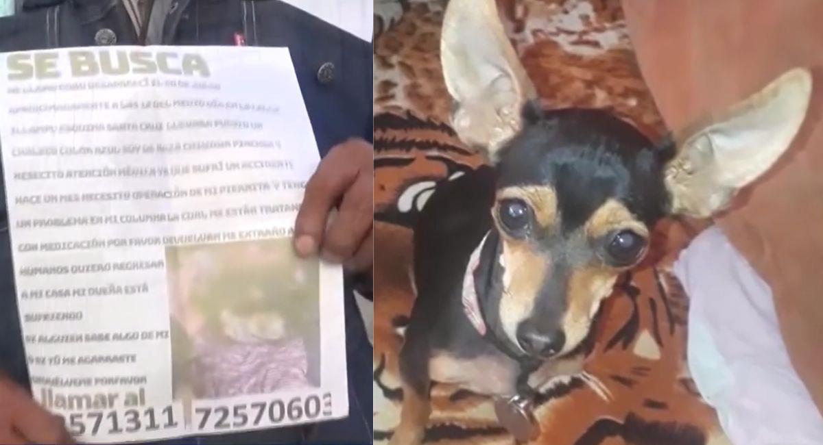 Una persona de la tercera edad busca desesperadamente a su mascota, Gokú  por las calles de La Paz