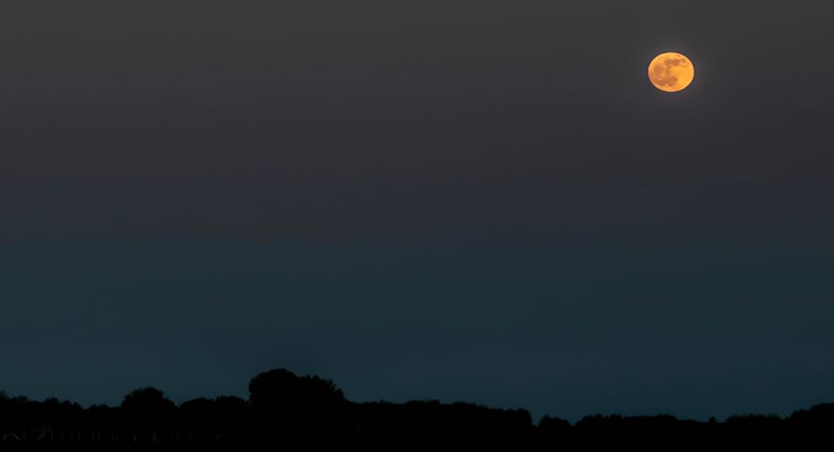 Agosto será testigo de la última Superluna del año. Foto: Shutterstock