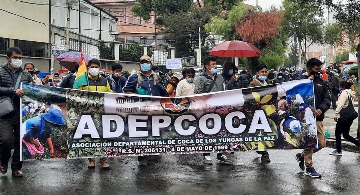 Cocaleros de Adepcoca se manifiestan contra el mercado paralelo de coca. Foto: Facebook Adepcoca
