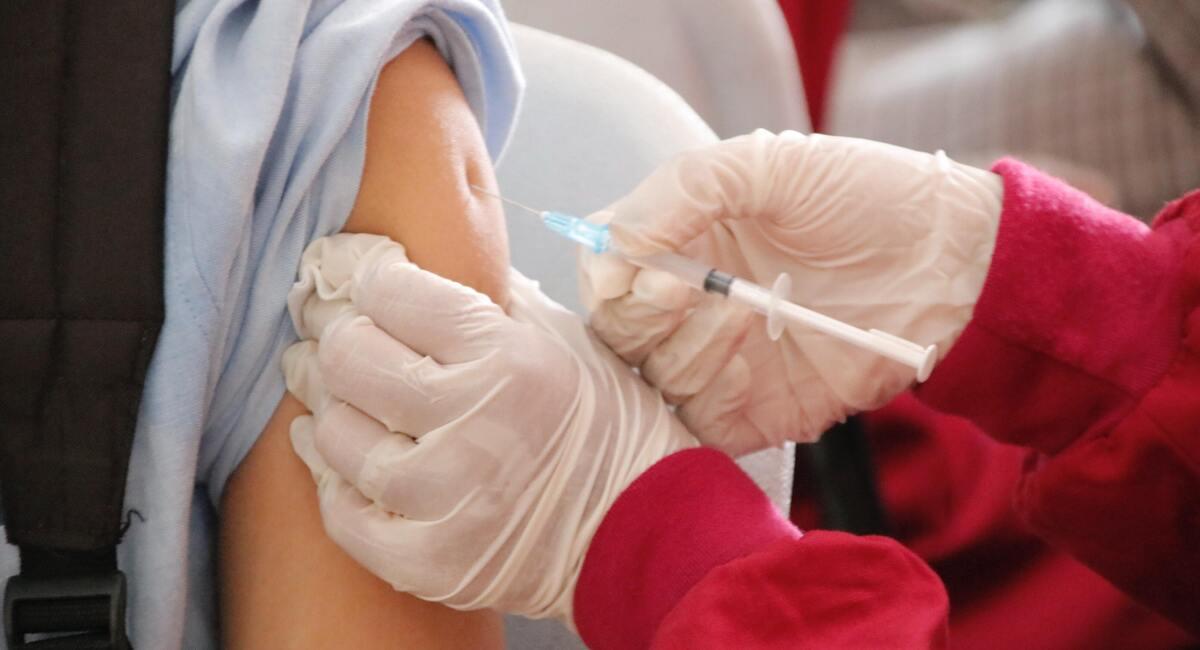 La vacuna que se utiliza es para la viruela común. Foto: Unsplash