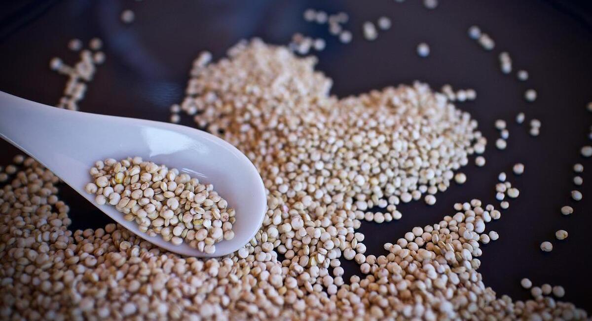 La quinoa es considerada un pseudocereal de origen andino que tiene un excepcional valor nutricional. Foto: Pixabay