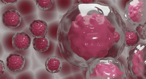 El nuevo avance científico que permite crear embriones sintéticos