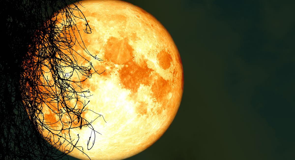 Lune llena de la Cosecha. Foto: Shutterstock