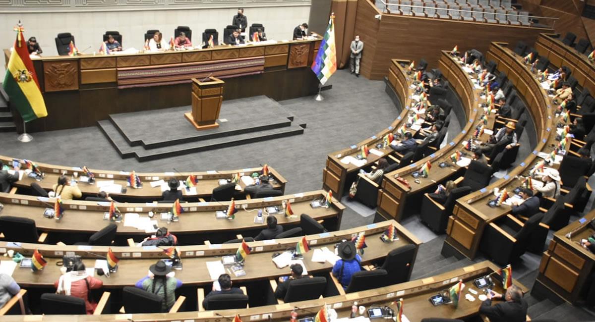 Pleno de la Asamblea Legislativa Plurinacional. Foto: ABI