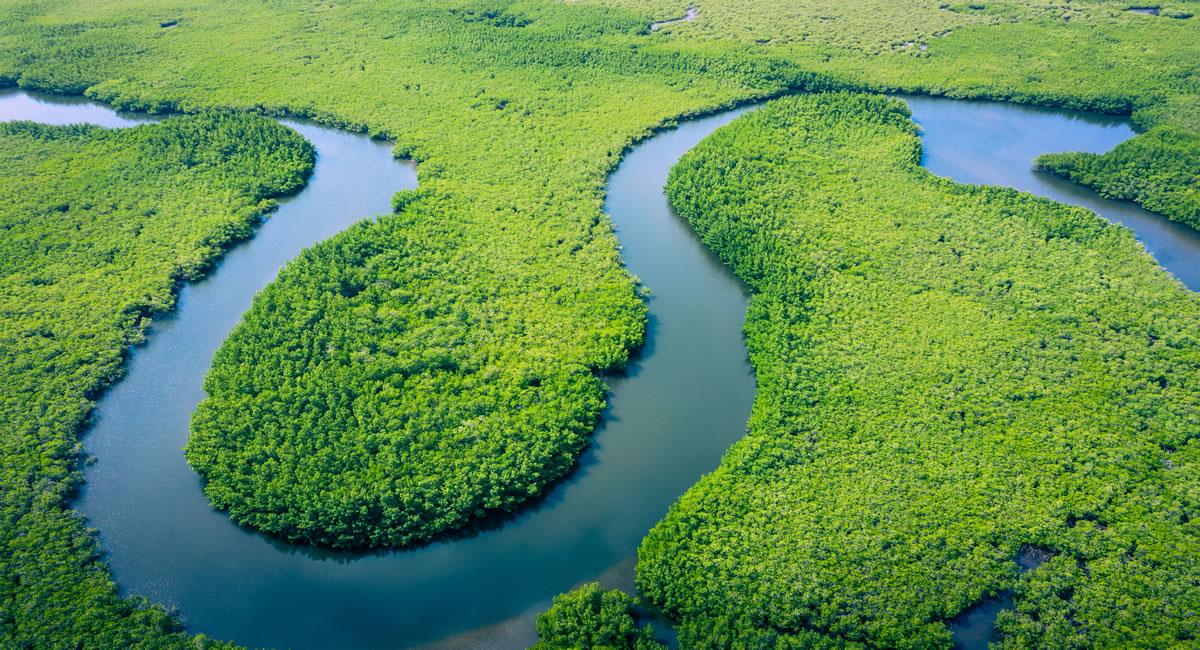 Es importantes presentar soluciones y planes de acción de emergencia para salvar el 80% de la Amazonía antes de 2025. Foto: Shutterstock