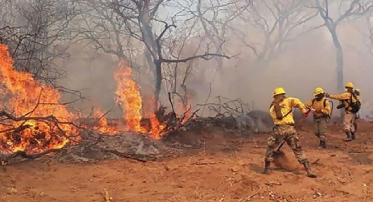 Gobierno y FFAA encaran tareas de control y sofocamiento de incendios forestales. Foto: Twitter @Jaguarete_PCJC