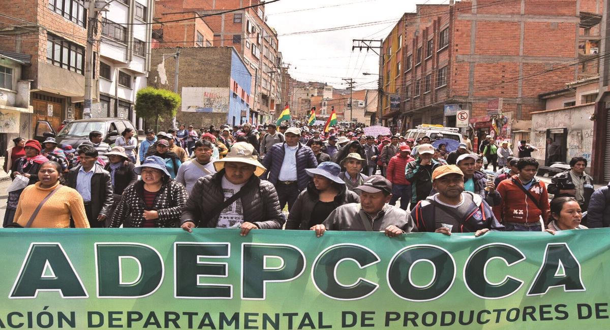 La marcha de Adepcoca se aproxima a la sede de Gobierno. Foto: Facebook Adepcoca