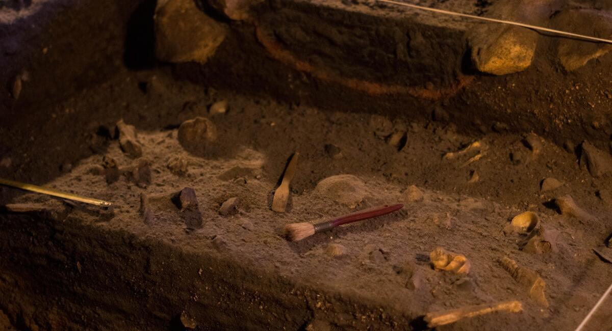 Los restos encontrados pertenecían a un joven que vivió hace 31.000 años. Foto: Unsplash