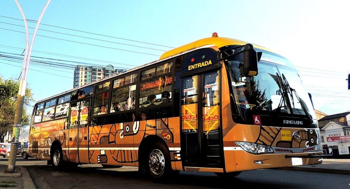 El asambleísta del MAS pretende convertir a los buses en trasporte escolar. Foto: Facebook Iván Arias