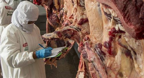 Egipto expresa interés en comprar carne bovina boliviana