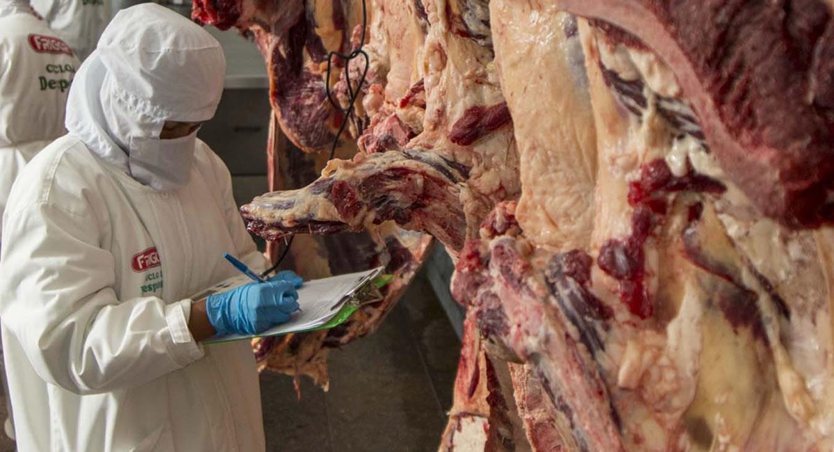 Bolivia produce y exporta carne bovina. Foto: ABI