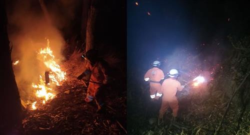 Reportan un incendio en el Bosquecillo de Pura Pura