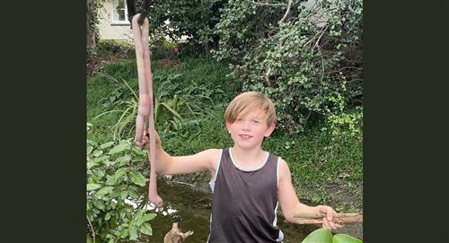 Un niño encontró una lombriz gigante en el patio de su casa, no creerás cuánto mide
