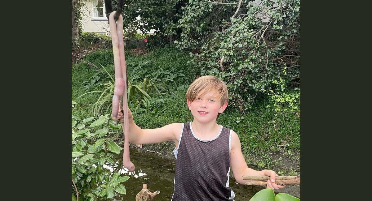 La lombriz de casi un metro de longitud fue encontrada en el patio trasero de la casa del niño. Foto: Facebook