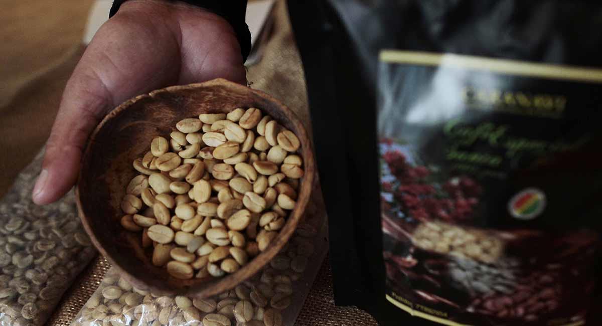 La Asociación de Caficultores y Productores de Café confirmó que se exportaron 44.000 sacos de café en abril de 2021. Foto: ABI
