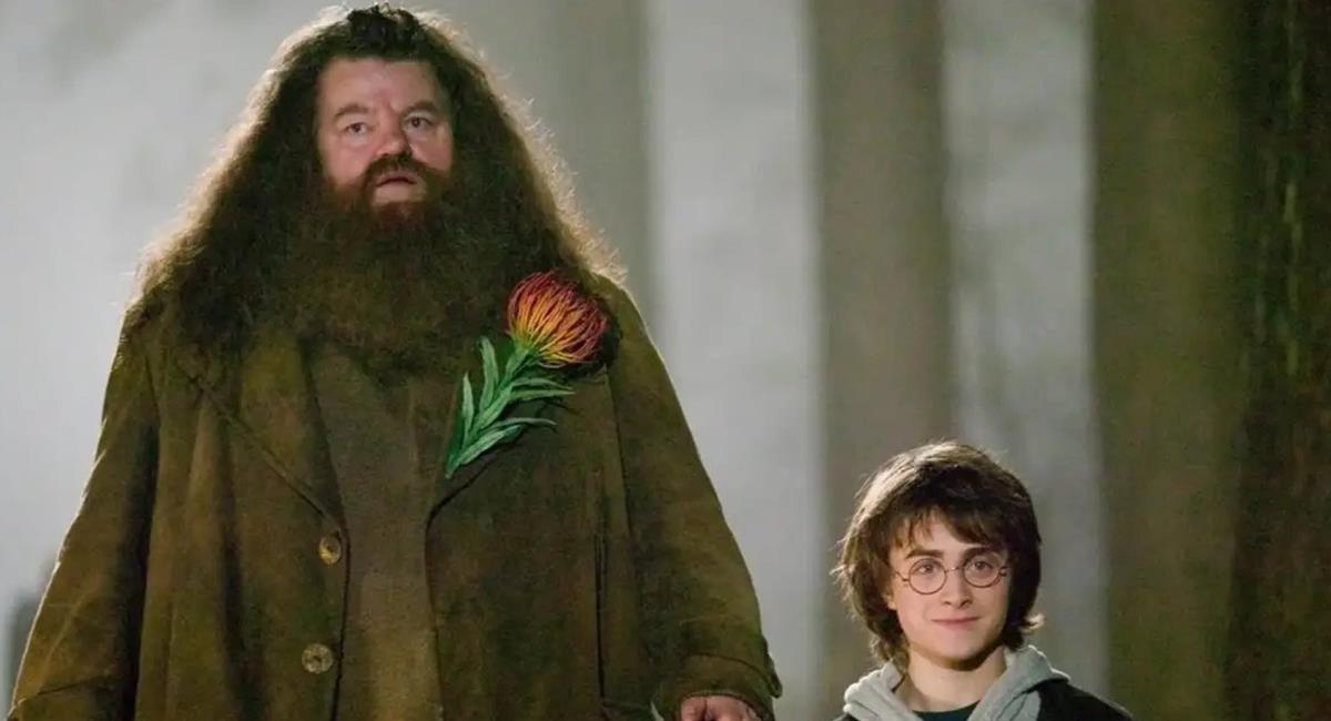 Seguidores de la saga de Harry Potter, lamentan el fallecimiento del actor que dio vida a Hagrid. Foto: Twitter @polispol