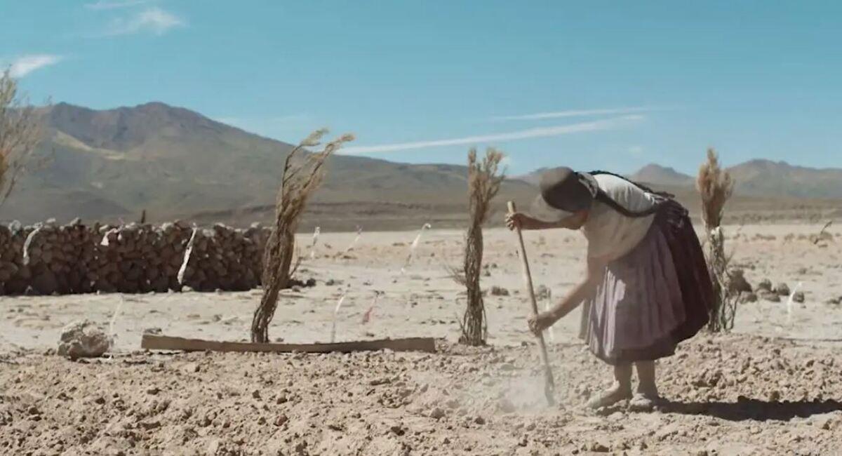 El film muestra las adversidades que pasan una pareja de ancianos en el altiplano. Foto: Youtube