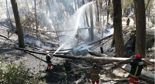 Bosquecillo de Pura Pura: Nuevamente se reportaron dos incendios 