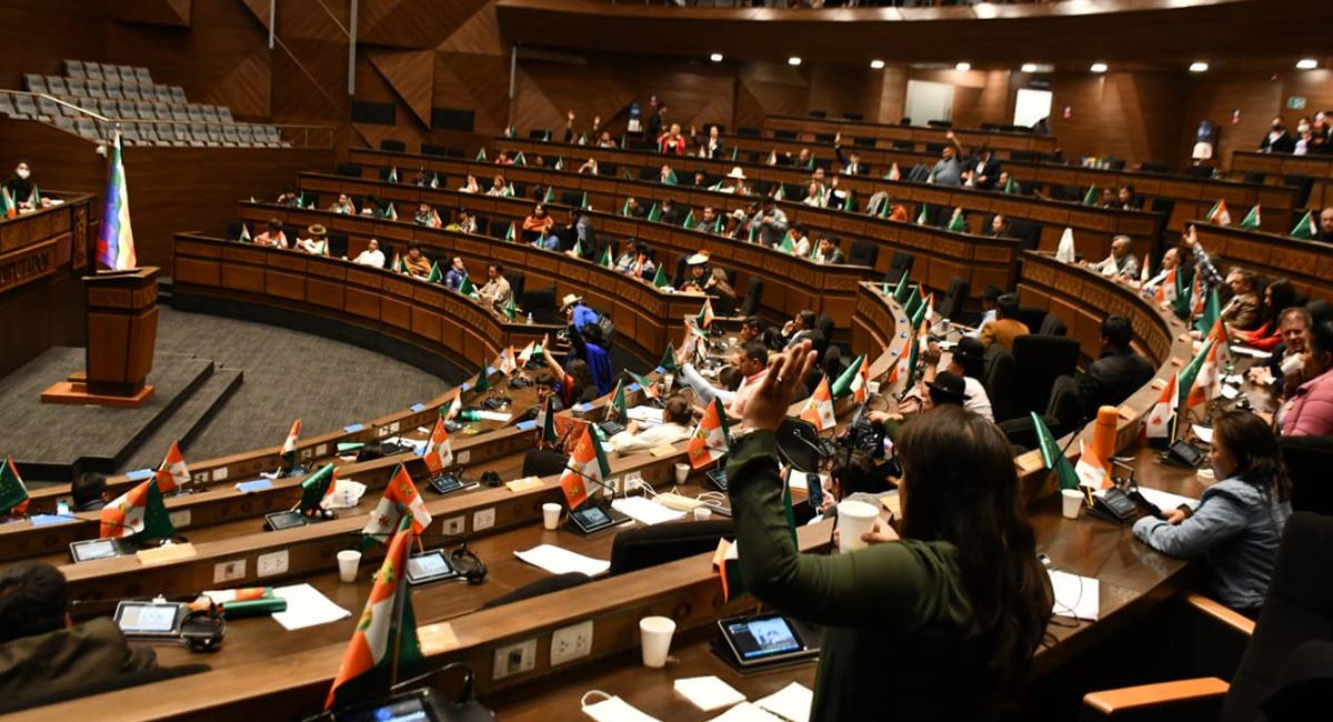 Los asambleístas de los partidos Comunidad Ciudadana (CC) y Creemos no pudieron cambiar el orden del día. Foto: Twitter @Diputados_Bol