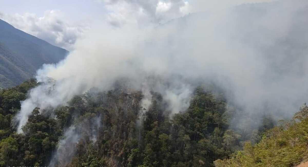 Los incendios se registraron en cinco municipios de Nor y Sud Yungas. Foto: Facebook Noticias Eldefensorsocial