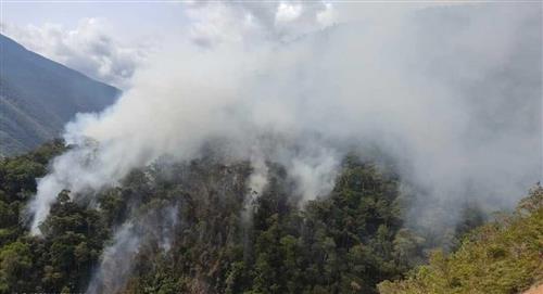 Hay 9.000 familias afectadas por los incendios forestales en Los Yungas