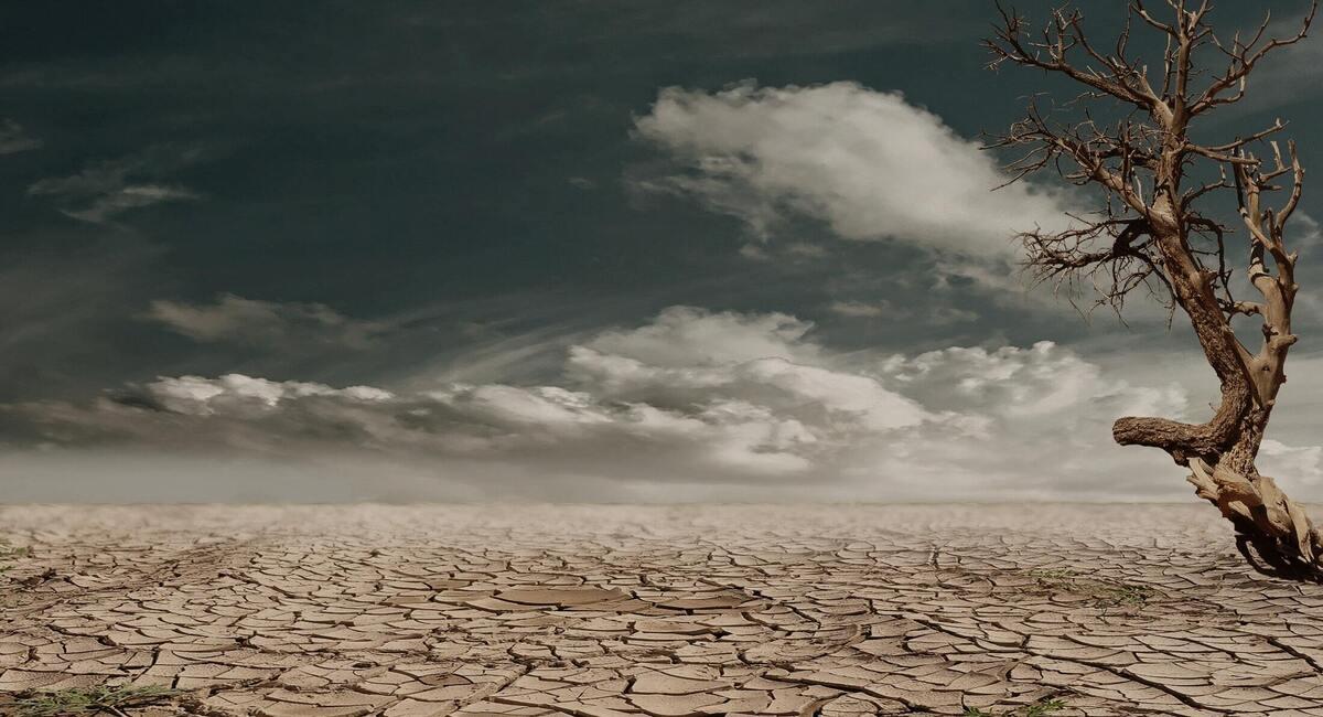 La sequía en Bolivia provocó la afectación de 171 mil familias. Foto: Pexels