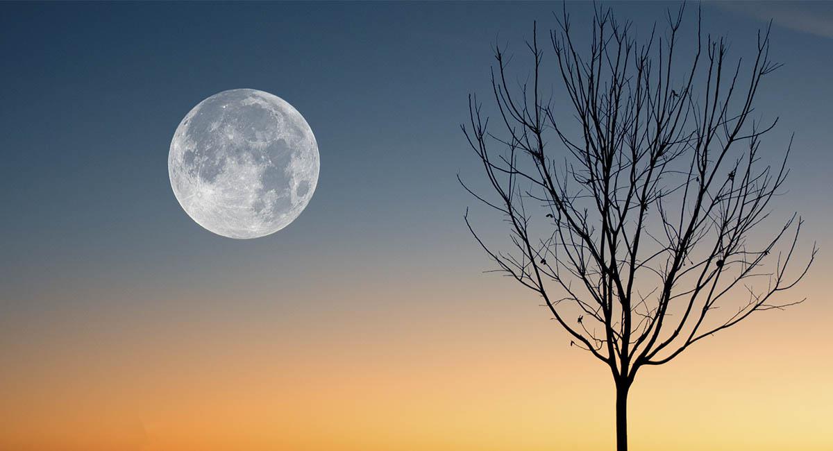 Los signos de aire son los que estarán "más afectados" por el tránsito lunar. Foto: Pixabay