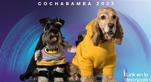 Cochabamba: Conoce cómo participar en el "Corso de Mascotas"