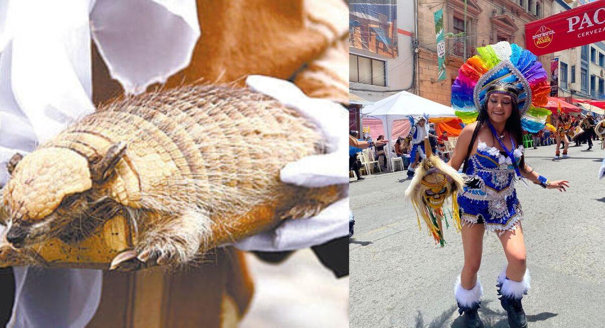 Las normas bolivianas prohíben el uso de cualquier tipo de artefacto hecho con partes de animales. Foto: Facebook