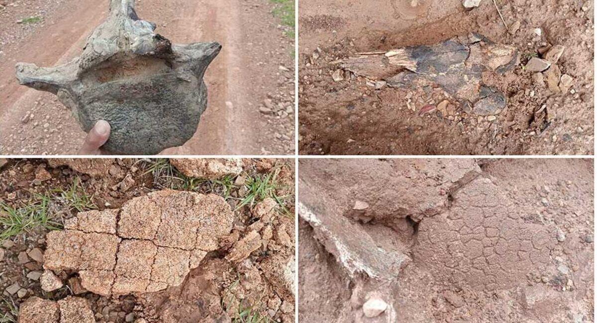 Los fósiles fueron encontrados en la comunidad de Mojo Poco. Foto: Facebook Grupo Centro Cochabamba