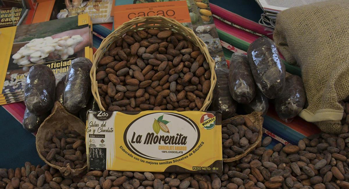 El cacao boliviano busca posicionarse como uno de los mejores en el mundo. Foto: EFE