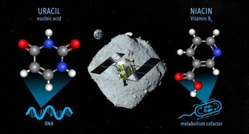 Científicos detectan componentes básicos del ARN en un asteroide 