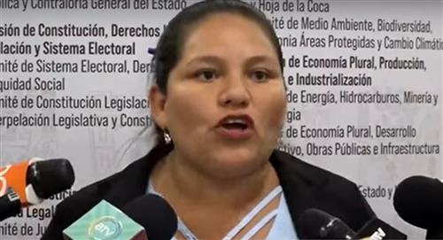Diputada Deysi Choque demandó al exministro Carlos Romero