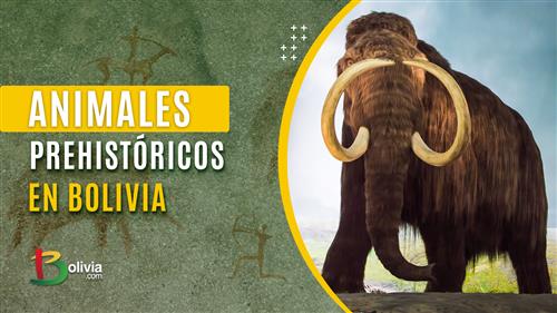 ¿Mastodontes en Bolivia? Descubren restos de animales prehistóricos en Chuquisaca 