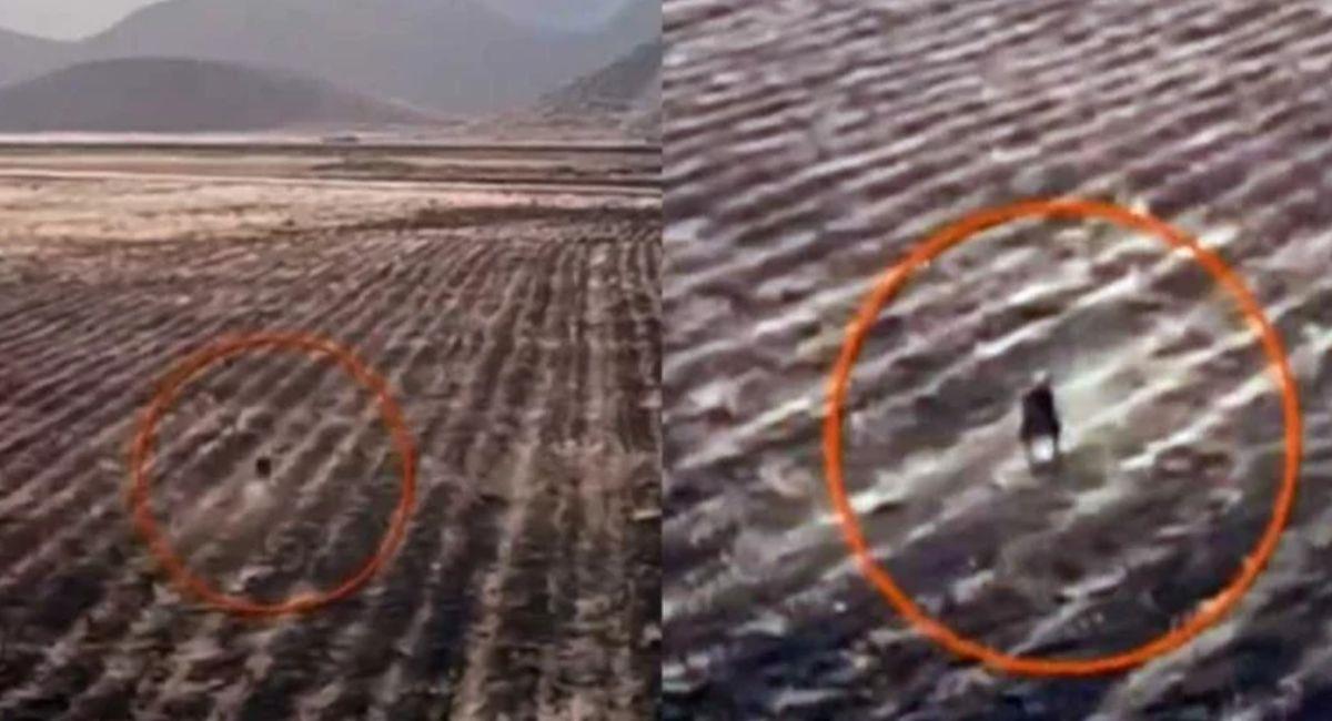 La imagen fue captada por un dron que sobrevolaba unos predios en una zona rural de Oruro. Foto: Youtube Captura Video