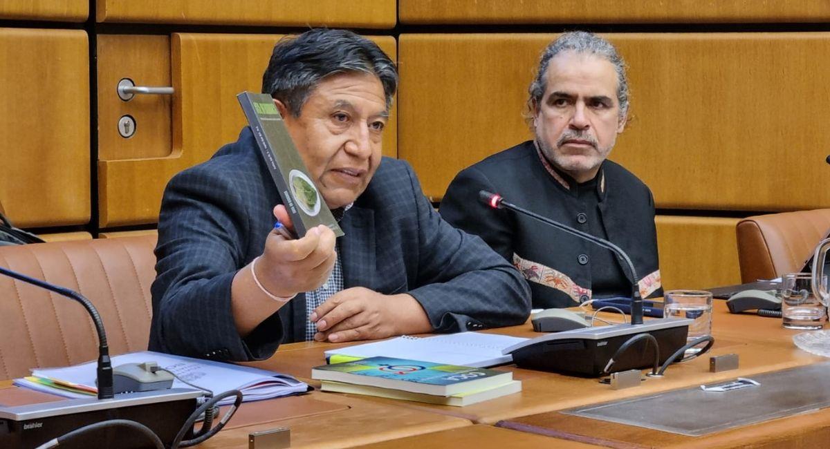 El vicepresidente David Choquehuanca defenderá la hoja de coca en Viena, Austria. Foto: ABI