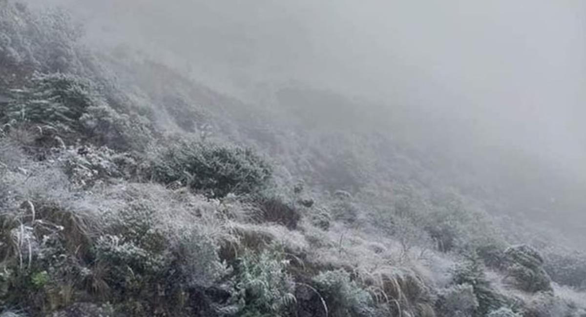 La nieve cubrió por completo la Reserva de Flora y Fauna de Tariquía. Foto: Twitter Captura @RedUnoTv