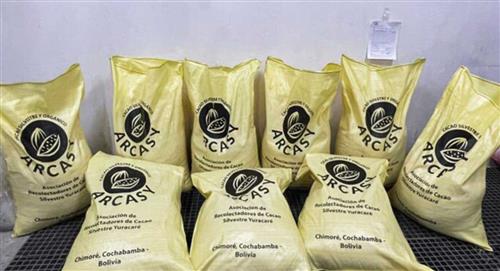 Cacao y vinos de Bolivia comenzarán a comercializarse en Europa 