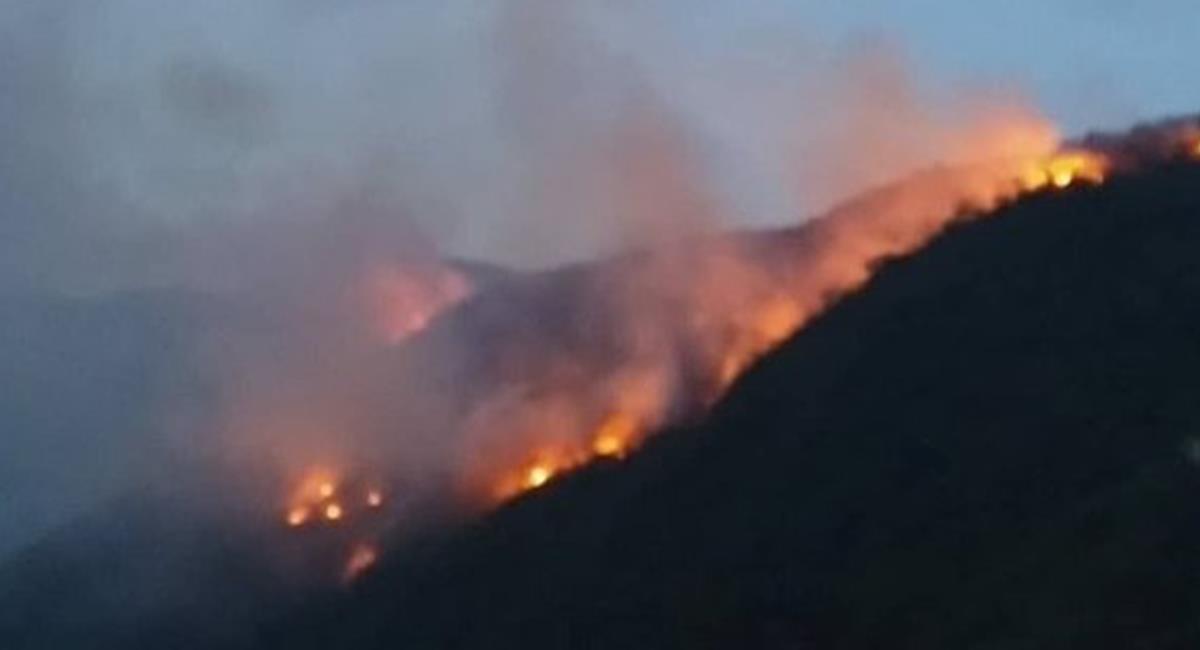 Las condiciones de sequía han agravado los incendios forestales y los focos de calor en el país. Foto: Twitter Captura @RedUnoTv