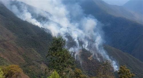 Parque Nacional de Cotapata arde en llamas hace nueve días 